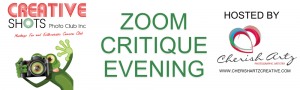 Zoom Critique Evening with Cherish Artz